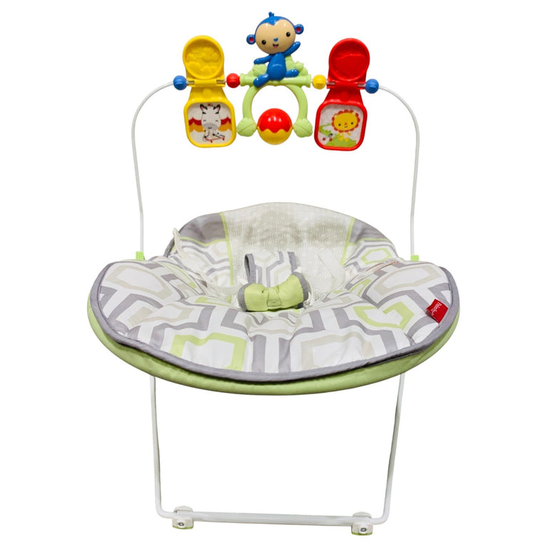 Fisher-Price-Baby's-Bouncer-Geo-Meadow-2-5