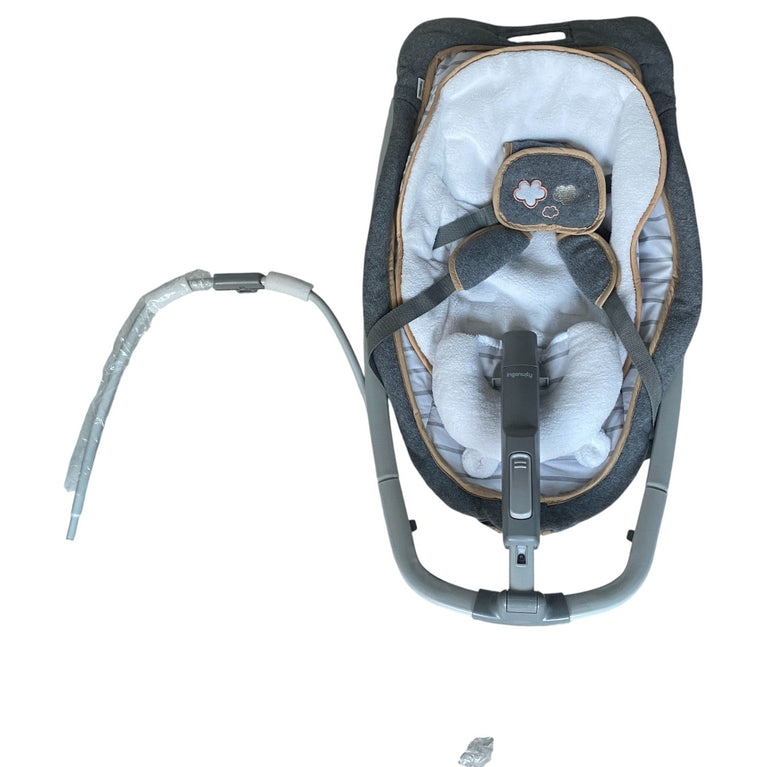 Ingenuity-Rocking-Seat-Bella-Teddy-1-2