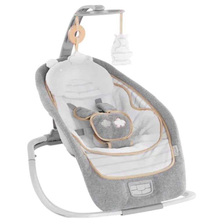 Ingenuity-Rocking-Seat-Bella-Teddy-1-0