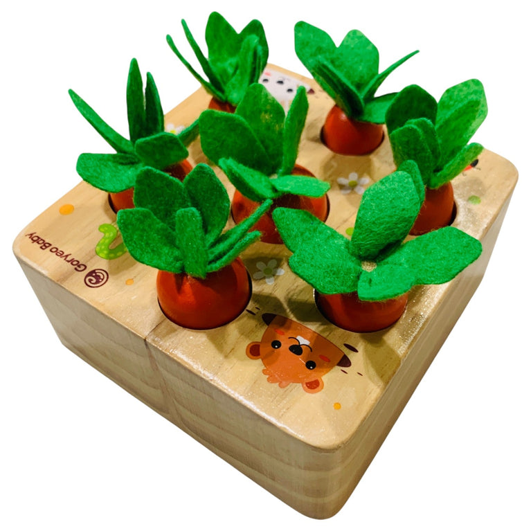 Carrot-Sensory-Educational-Toy-1-1