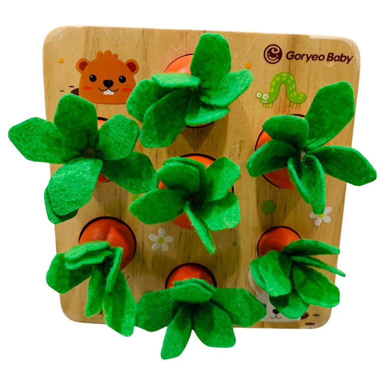 Carrot-Sensory-Educational-Toy-1-2