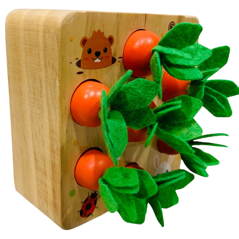 Carrot-Sensory-Educational-Toy-1-3