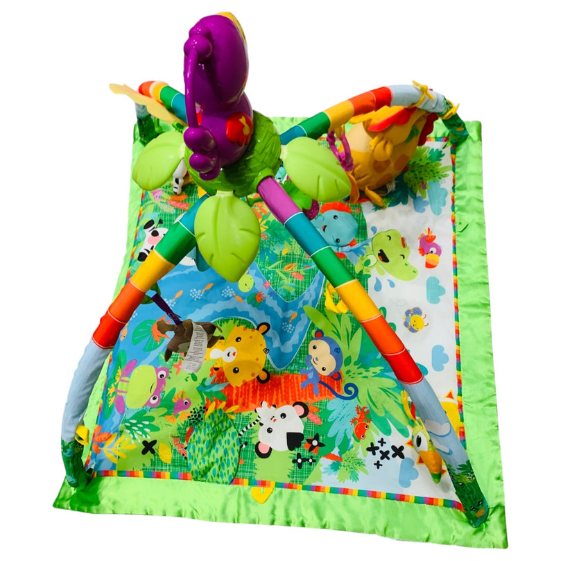 Fisher-Price-Baby-Deluxe-Rainforest-Gym-Play-Mat-1-7