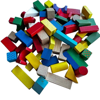 Viga Colourful Block Set (50 Pcs)